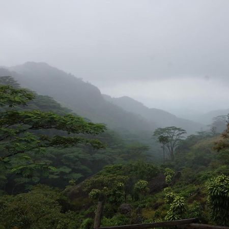 Jungle Tree House Rangala Bed and Breakfast Kandy Exterior foto