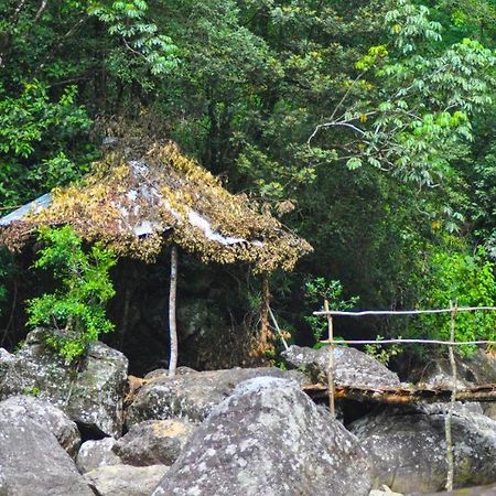 Jungle Tree House Rangala Bed and Breakfast Kandy Exterior foto