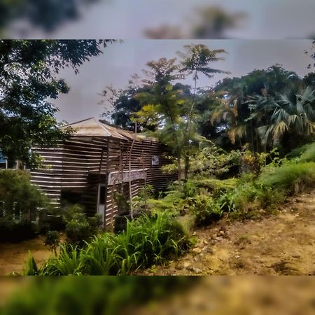 Jungle Tree House Rangala Bed and Breakfast Kandy Exterior foto
