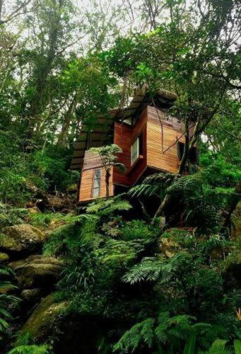Jungle Tree House Rangala Bed and Breakfast Kandy Exterior foto