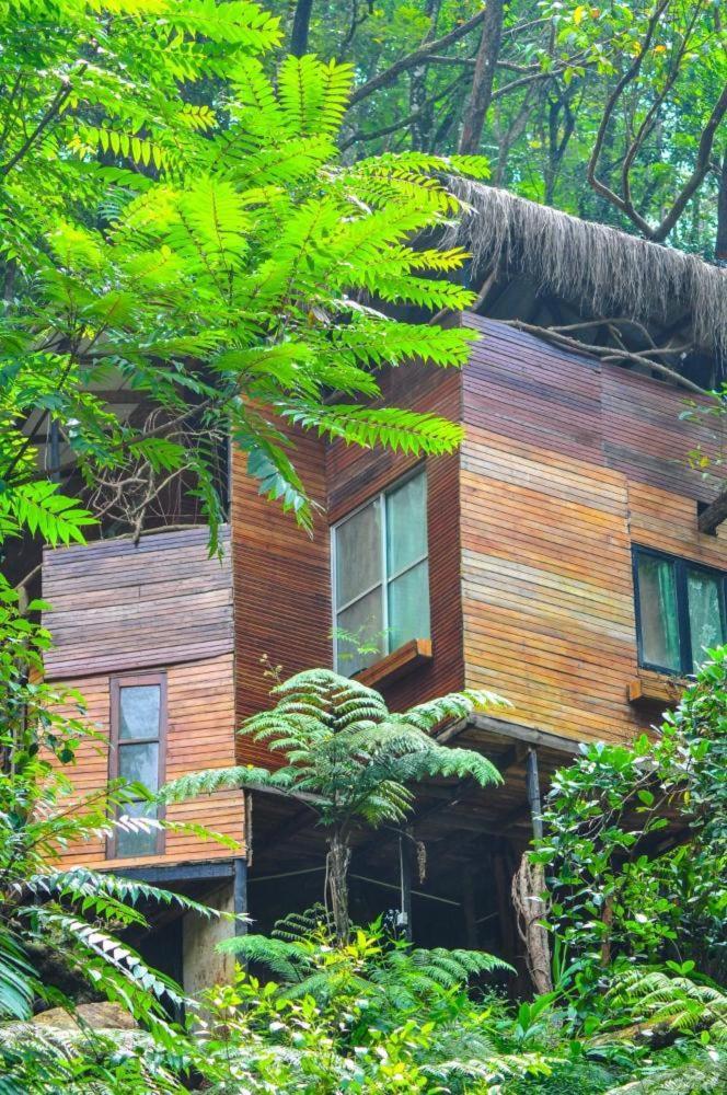 Jungle Tree House Rangala Bed and Breakfast Kandy Exterior foto